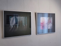 P1210107_web
